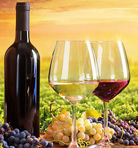 _ Coffret "VINS CLASSIQUES" _ 3 Bouteilles Coffrets Vins, 2, 3, 4, 6, alsace, anniversaire, blanc, Bordeaux, Bordelais, bourboulenc, bourgogne, cabernet, Cahors, carignan, cave, caviste, chardonnay, chenin, cinsault, coffret vins prestige 4 Bouteilles, corbières, cotes du rhone, découverte, Fer Servadou, Folle noire, Fronton, Gamay, gascogne, gigondas, Grand Cru, grenache, idée cadeau, languedoc, loire, malbec, manseng, montravel, muscat, original, personnalisé, pinot noir, provence, récoltant, retraite, rosé, rouge, sauvignon, sémillon, sud ouest, syrah, ugny, vacqueyras, ventoux, vermentino, vignerons, viognier