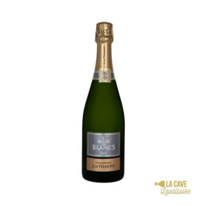 Champagne De Telmont Blanc de Blancs - 75cl Champagne, De Telmont, Vins Blancs, Vins Pétillants, Vins Biologiques & Naturels