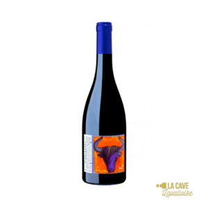 MAGNUM Domaine d'Andézon - Côtes-du-Rhône-Villages - Signargues 1.5L Idées Cadeaux Fête des Pères, MAGNUMS, Vins Rouges, Vignerons d'Estézargues, barbecue, cote de boeuf, cotes du rhone, estézargues, gibier, grillades, vin naturel, vin non filtré
