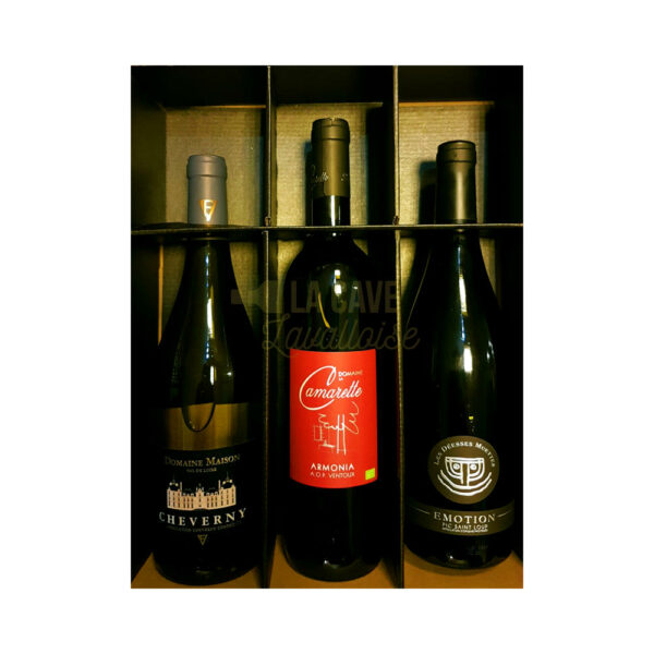 _____ Coffret Vins "VILLA" _____ 3 Bouteilles Coffrets Vins, 2, 3, 4, 6, alsace, anniversaire, blanc, Bordeaux, Bordelais, bourboulenc, bourgogne, cabernet, Cahors, carignan, cave, caviste, chardonnay, chenin, cinsault, coffret vins prestige 4 Bouteilles, corbières, cotes du rhone, découverte, Fer Servadou, Folle noire, Fronton, Gamay, gascogne, gigondas, Grand Cru, grenache, idée cadeau, languedoc, loire, malbec, manseng, montravel, muscat, original, personnalisé, pinot noir, provence, récoltant, retraite, rosé, rouge, sauvignon, sémillon, sud ouest, syrah, ugny, vacqueyras, ventoux, vermentino, vignerons, viognier