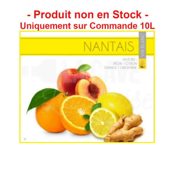 LE NANTAIS 12° - 10 Litres - Pêche, Citron, Orange, Gingembre Didier Blanloeil, Cocktails Apéritifs en BIB, Apéritifs, Vinofruits Blanloeil, aperitif a base de vin, aperitif en bib, aperitif en cubi, aperitif original, asso, associations, associations en mayenne, bag, bag in box, bib, box, cocktail aperitif en bib, cocktail aperitif en cubi, cocktail en bib, cocktail en cubi, cubi, cubi apero, le comptoir de clem, rose pamplemousse, vinofruits