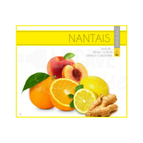 LE NANTAIS 12° - 5 Litres - Pêche, Citron, Orange, Gingembre Didier Blanloeil, Cocktails Apéritifs en BIB, Apéritifs, Vinofruits Blanloeil, aperitif a base de vin, aperitif en bib, aperitif en cubi, aperitif original, asso, associations, associations en mayenne, bag, bag in box, bib, box, cocktail aperitif en bib, cocktail aperitif en cubi, cocktail en bib, cocktail en cubi, cubi, cubi apero, le comptoir de clem, rose pamplemousse, vinofruits