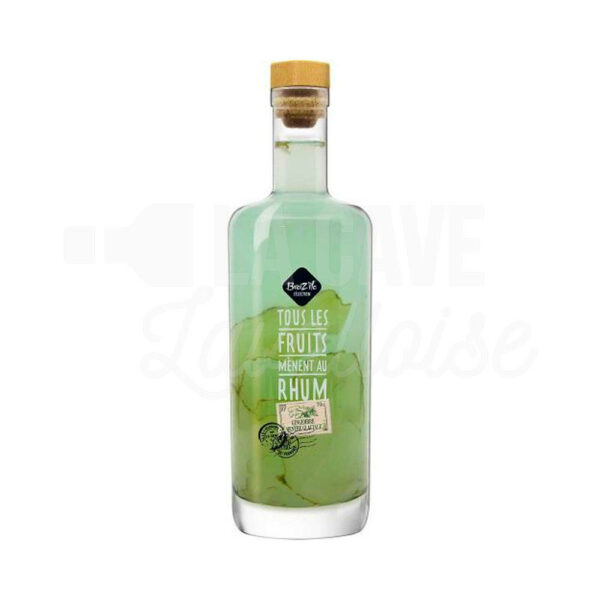 Gingembre-Menthe Glaciale 30° - Rhum Arrangé - Breiz'île - 70cl Idées Cadeaux Fête des Pères, RHUMS, Rhums Arrangés, Breiz'île, breizile, cave à rhums, punch au rhum, rhum arrangé