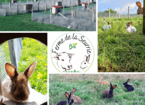 La Cave Lavalloise - Rillettes de Lapin BIO – Ferme de la Seurrie – La Bazouge-des-Alleux (53) – 180gr - 1
