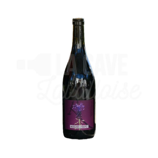 Muscari à Toupet - Anjou Rouge - Domaine de Rochambeau - 75cl Anjou, Domaine de Rochambeau, Nouveautés Avril 2026, Val de Loire, Vins Rouges, Vins Biologiques et Naturels, anjou Muscari à Toupet - Anjou Rouge - Domaine de Rochambeau - 75cl Anjou, Domaine de Rochambeau, Nouveautés Avril 2026, Val de Loire, Vins Rouges, Vins Biologiques et Naturels, anjou