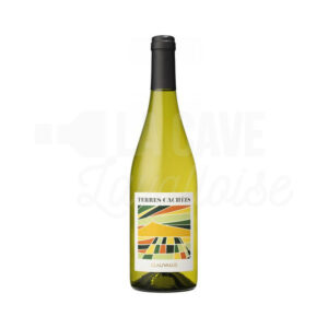 Ventoux blanc - Terres Cachées - Demazet Vignobles - 75cl Demazet Vignobles, Nouveautés Avril 2026, Terres Cachées, Ventoux, VINS, Rhône, Vins Blancs, vallée du rhône