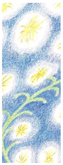 Andantino - 100% Pinot Noir - 9 Mois de Barriques - La Beaumarelle - 75cl La Beaumarelle, Languedoc-Roussillon, Nouveautés Avril 2026, Occitanie, Vins Rouges, Vins Biologiques et Naturels, hérault, pinot noir, terrasses du larzac, Vin bio