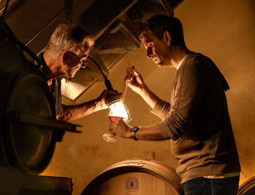 La Cave Lavalloise - Côtes de Provence Cru Sainte-Victoire – Mazurka Rosé – Château L&rsquo;Anticaille – 75cl - 2