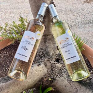 Côtes de Provence - Mazurka Blanc - Château L'Anticaille - 75cl Château L'Anticaille, Nouveautés Avril 2026, Provence-Alpes-Côte d'Azur, Vins Blancs, Côtes de Provence, vin blanc Côtes de Provence - Mazurka Blanc - Château L'Anticaille - 75cl Château L'Anticaille, Nouveautés Avril 2026, Provence-Alpes-Côte d'Azur, Vins Blancs, Côtes de Provence, vin blanc